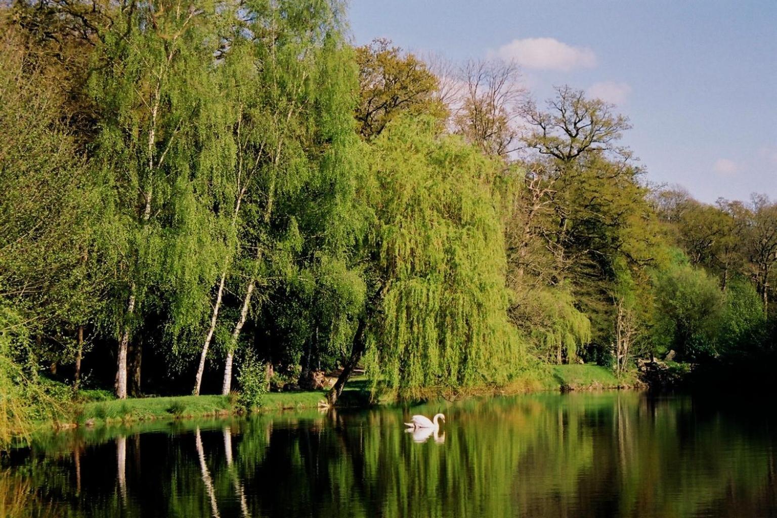 Cit'Hotel Le Relais Du Boisniard Chambretaud Dış mekan fotoğraf